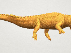 alligator 01 3D Принт Модель