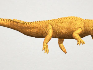 alligator 01 3D Print Model
