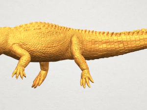 alligator 01 3D Print Model