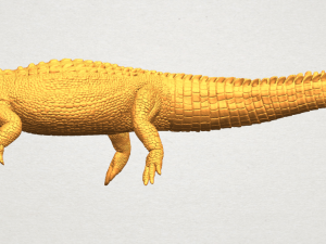 alligator 01 3D Принт Модель