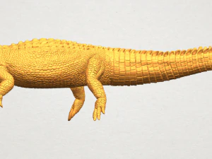 alligator 01 3D Print Model