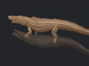 alligator 01 3D Принт Модель