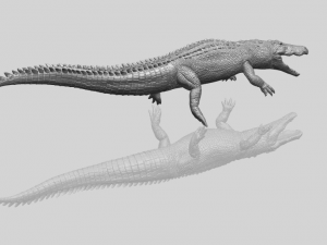 alligator 01 3D Принт Модель