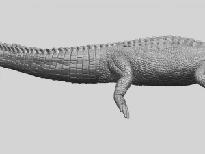 alligator 01 3D Print Model