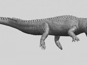 alligator 01 3D Принт Модель