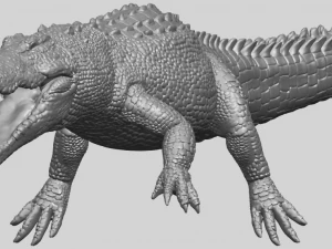 alligator 01 3D Print Model