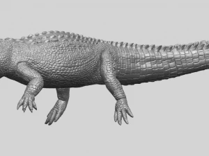 alligator 01 3D Print Model