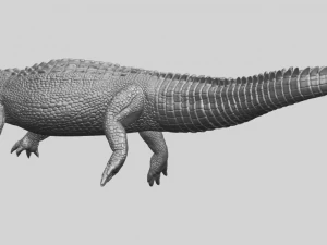 alligator 01 3D Print Model