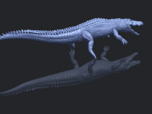 alligator 01 3D Принт Модель
