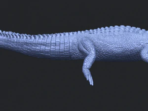 alligator 01 3D Print Model