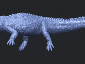 alligator 01 3D Принт Модель