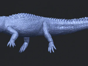 alligator 01 3D Print Model