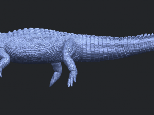 alligator 01 3D Принт Модель