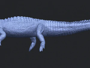 alligator 01 3D Print Model