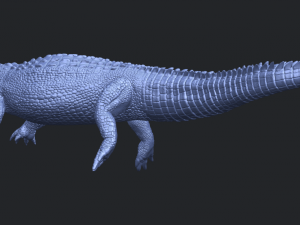 alligator 01 3D Принт Модель