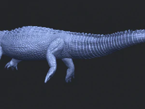 alligator 01 3D Print Model
