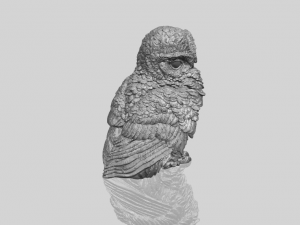 owl 04 Modelo de Impressão 3D