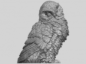 owl 04 Modelo de Impressão 3D