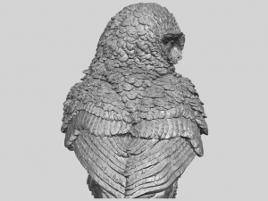 owl 04 Modelo de Impressão 3D