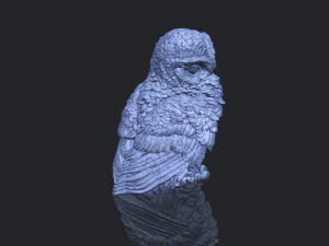 owl 04 Modelo de Impressão 3D