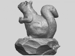 squirrel 01 3D Print Model