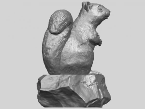 squirrel 01 3D Print Model