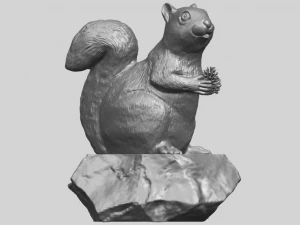 squirrel 01 3D Print Model