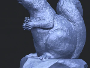 squirrel 01 3D Print Model