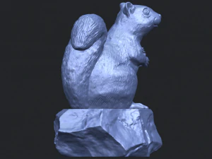 squirrel 01 3D Print Model