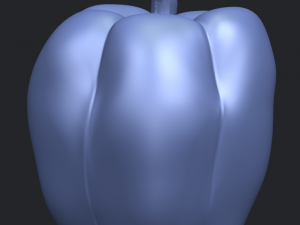 red pepper 3Dプリントモデル
