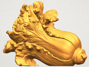 vegetable - fatt choi 04 3D Print Model