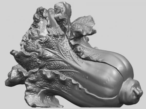 vegetable - fatt choi 04 3D Print Model