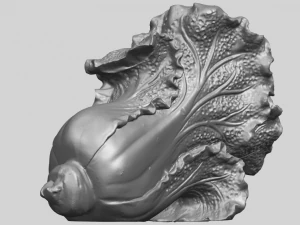 vegetable - fatt choi 04 3D Print Model