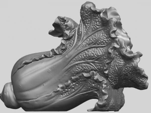 vegetable - fatt choi 04 3D Print Model