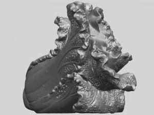 vegetable - fatt choi 04 3D Print Model