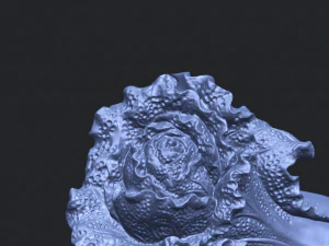 vegetable - fatt choi 04 3D Print Model