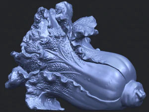 vegetable - fatt choi 04 3D Print Model