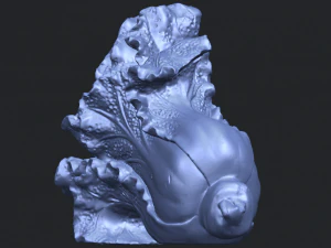 vegetable - fatt choi 04 3D Print Model