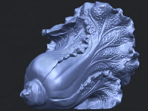 vegetable - fatt choi 04 3D Print Model