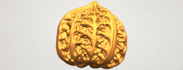 walnut Modelo de impresión 3D .c4d .max .obj .3ds .fbx .stl .blend 