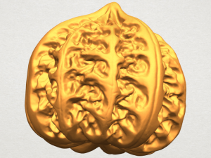 walnut 3D 프린트 모델
