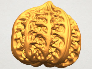 walnut 3D Print Model