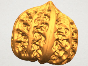 walnut 3D Print Model