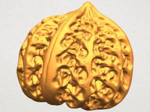 walnut Modelo de impresión 3D