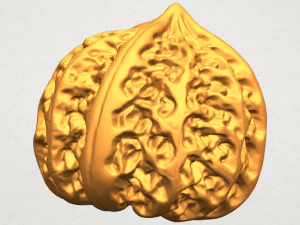 walnut 3D Print Model