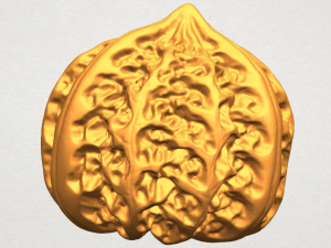 walnut Modelo de impresión 3D