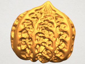 walnut 3D Print Model