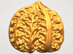 walnut 3D Print Model