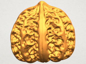 walnut 3D Print Model