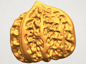 walnut 3D Print Model